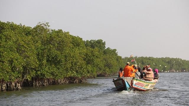 Story-senegal