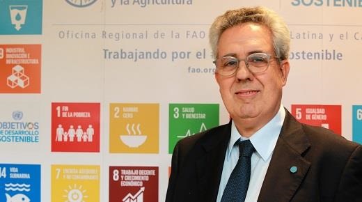 Vicente web