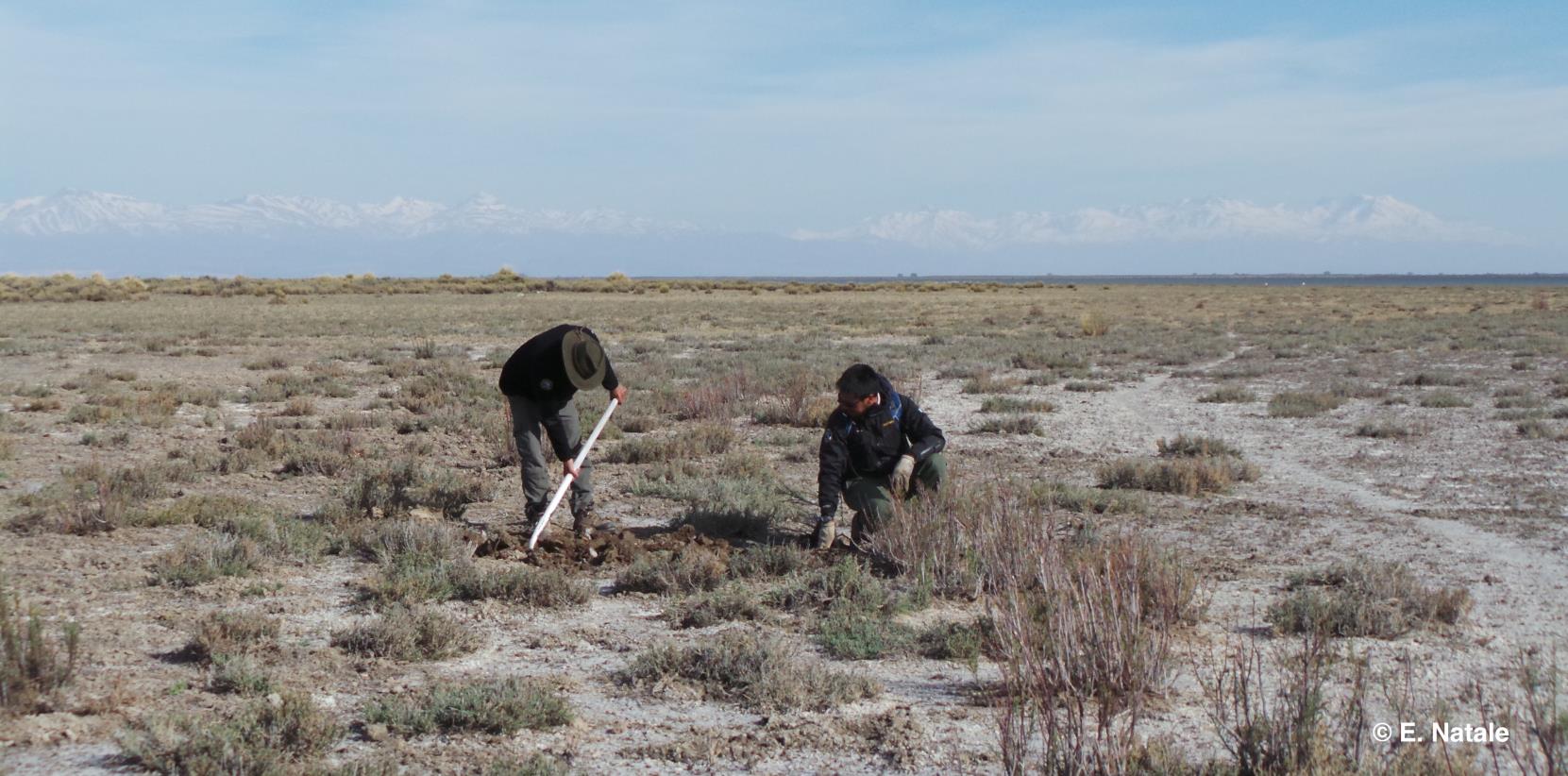 Emine, Francisco, and Andrey are winning the battle against land degradation