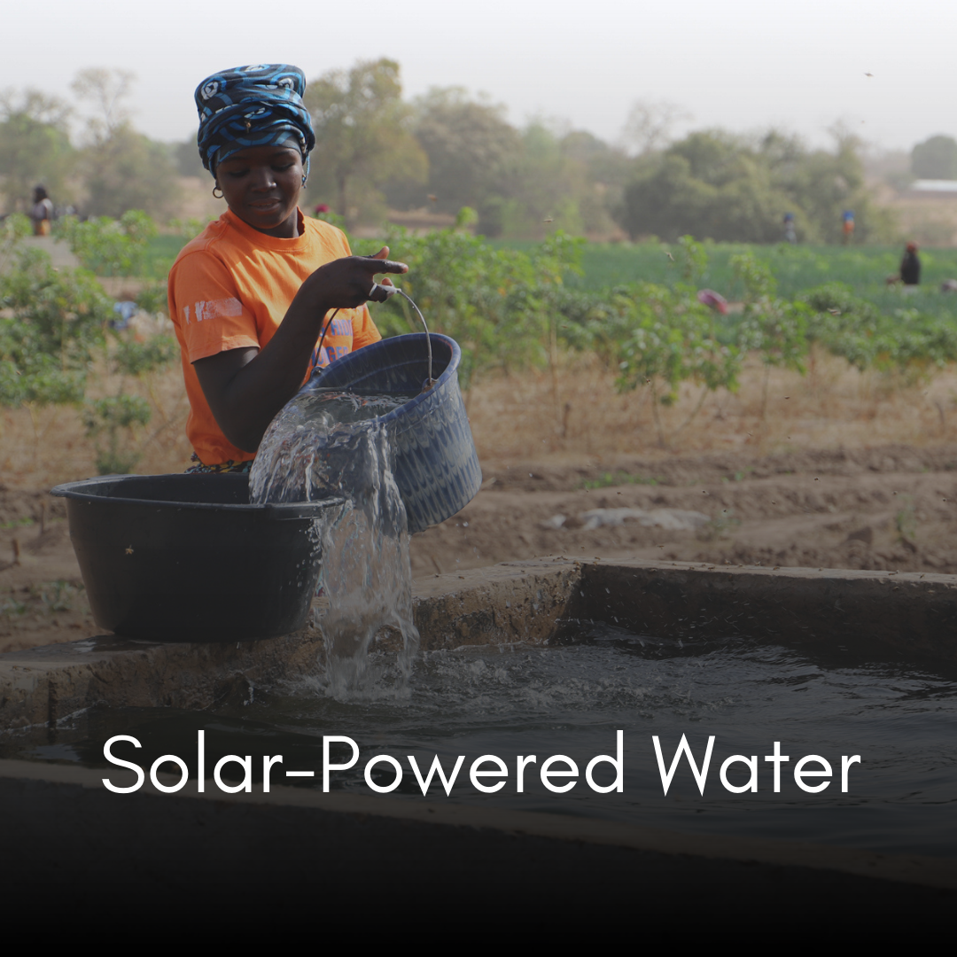 Gambia irrigation