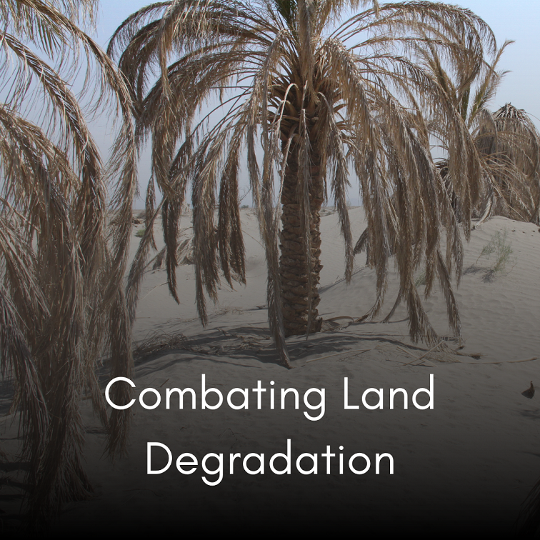 Land Degradation