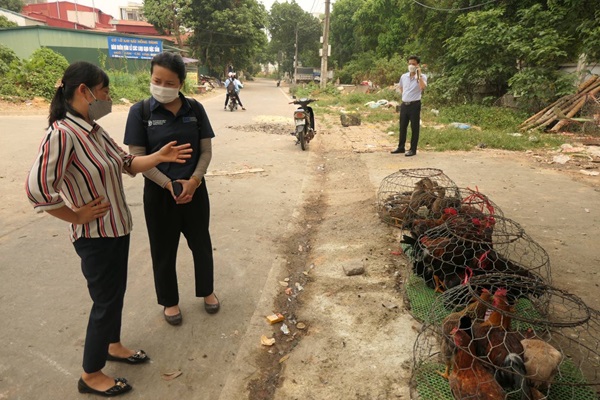 Improving animal disease detection and monitoring in Viet Nam