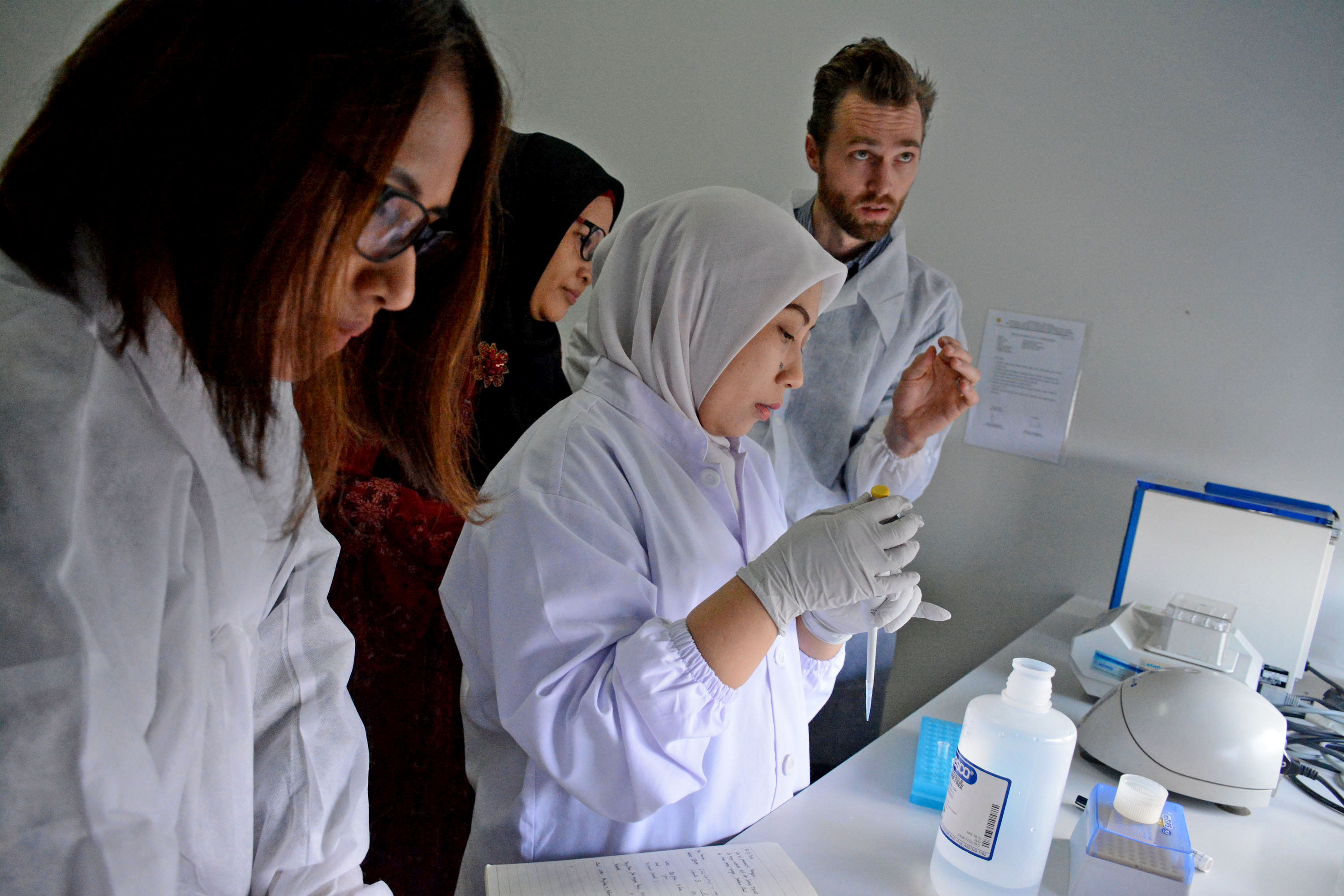 Lab staff in the laboratory