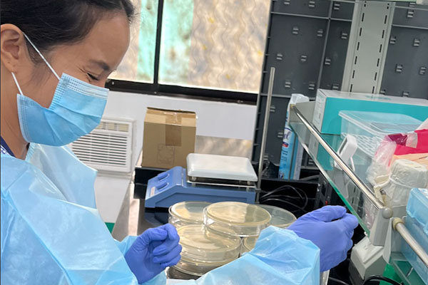 Lady lab technician in a laboratory