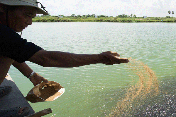 Respond to emergence and spread of AMR