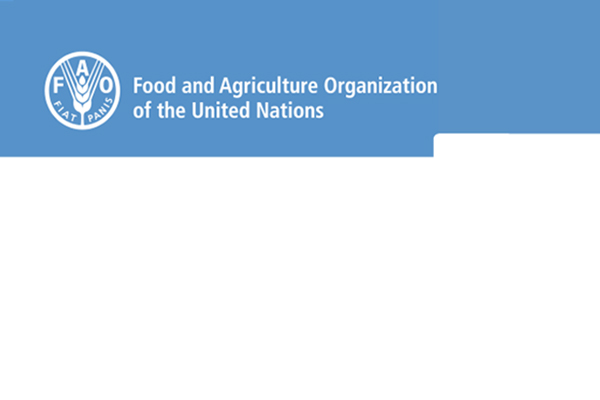 Addressing African swine fever: Laboratory protocols and algorithms