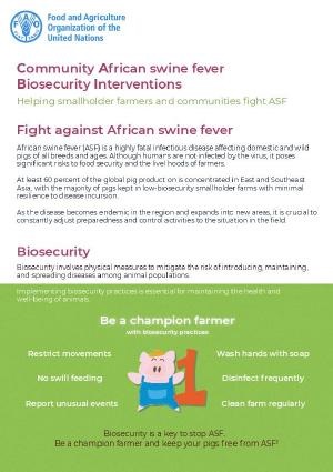 Community African swine fever Biosecurity Interventions: helping smallholder farmers and communities fight ASF