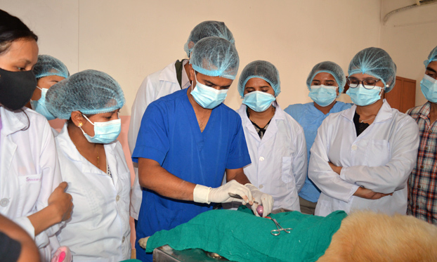 Animal birth control surgery training to veterinarians for rabies elimination