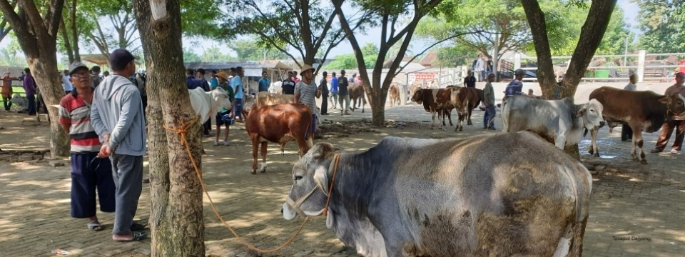 Virtual Regional Training on Value Chain Analysis for Animal Disease Risk Management