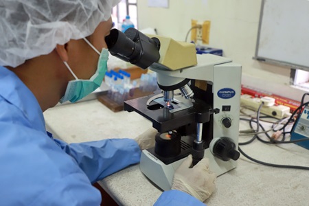 Animal disease outbreaks and news Asia Animal disease outbreaks and news Asia. Image copyright: FAO Yen Heng