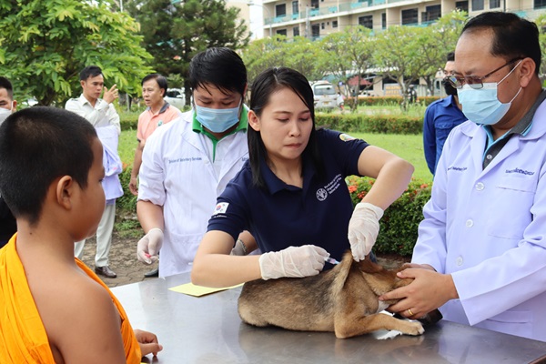 Animal disease outbreaks and news (volume 213)