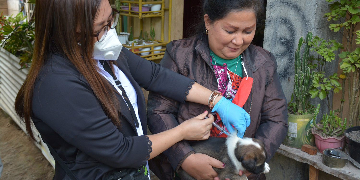 Minahasa district animal health officer conducted rabies response in the field after receiving data from SIZE Nasional