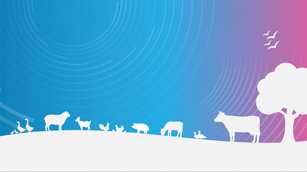 Breaking silos: A collaborative approach to biosecurity Graphics of animals and a tree