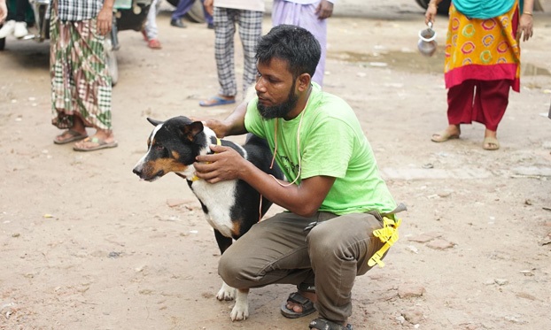 Case control study on dog vaccination concluded