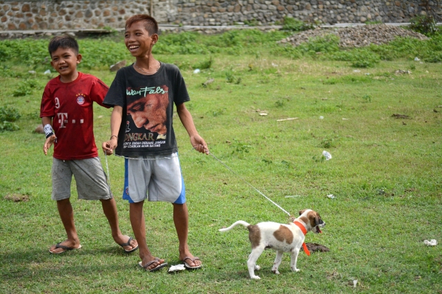 Prevent every rabies death: WHO and FAO highlight need for urgent, comprehensive action on World Rabies Day 2024