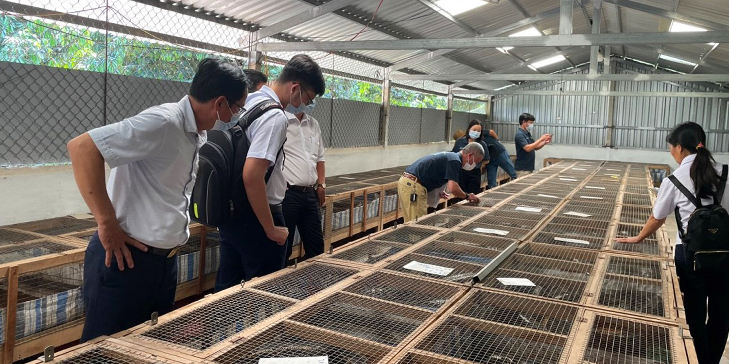 FAO and Government of Viet Nam conclude wildlife facilities assessment for zoonotic risks