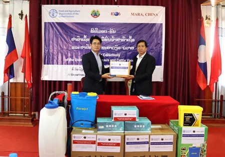 FAO helps Lao farmers to increase cattle exports from Lao PDR to the People’s Republic of China