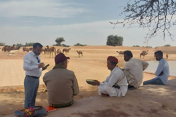 Men talking in front of a herd of camels.