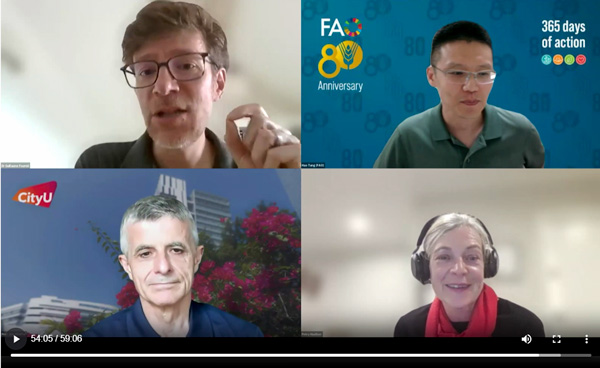 Screenshot of a video conference