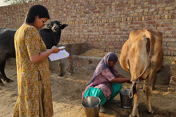 India Milk testing_Thumbs