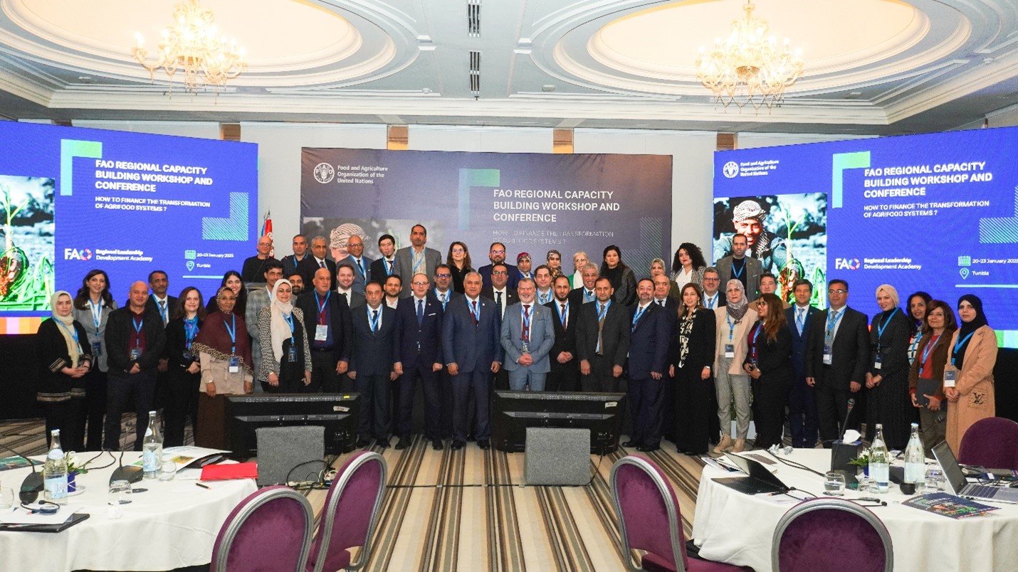 FAO Hosts Regional Workshop to Tackle Agrifood Financing Gaps in the NENA Region