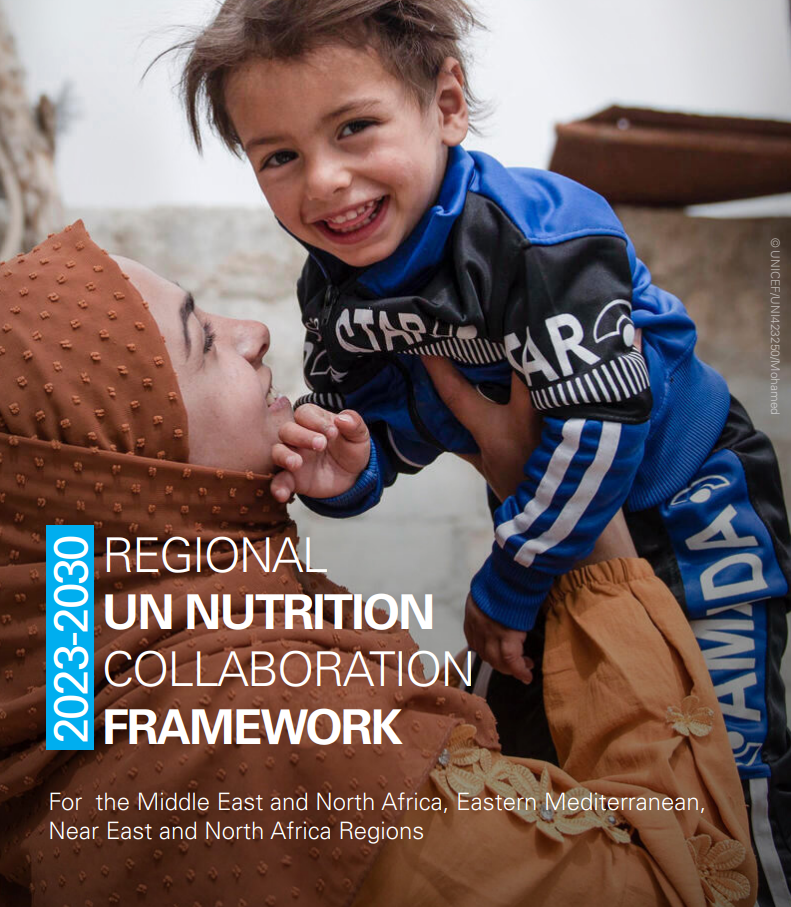 Regl MENA UN Nutr Framework (2023-2030)