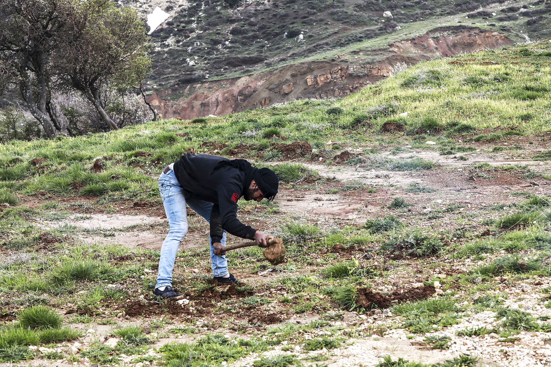 Investment pathways for ecosystem restoration in the Near East and North Africa region at the third Arab Land Forum