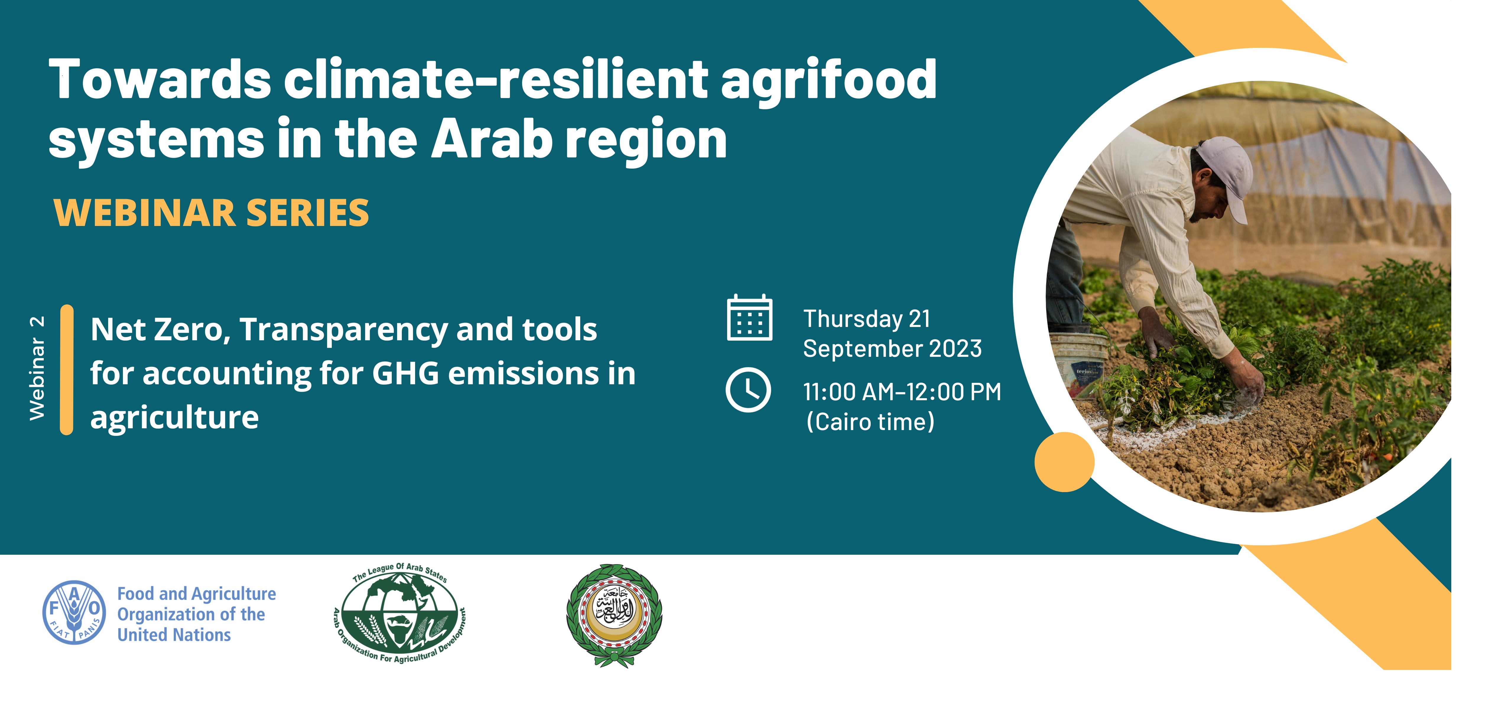 Net Zero, Transparency and tools for accounting for GHG emissions in agriculture