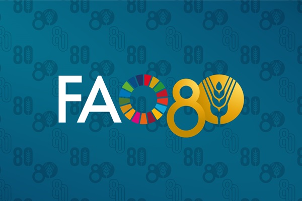 fao80_herobanner_1920x858px