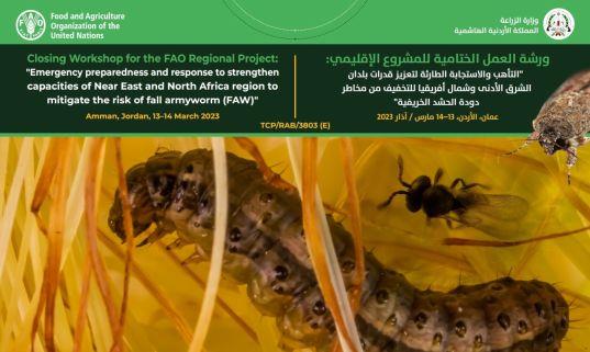 Closing Workshop for the FAO Regional Project: “Emergency preparedness and response to strengthen capacities of Near East and North Africa region to mitigate the risk of fall armyworm (FAW)" TCP/RAB/3803 (E)