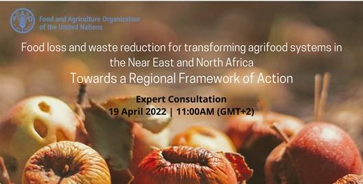 Expert consultation- Food Loss and Waste Reduction for Transforming Agrifood Systems in the Near East and North Africa: Towards a Regional Framework of Action