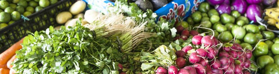 Regional Network on nutrition-sensitive food system