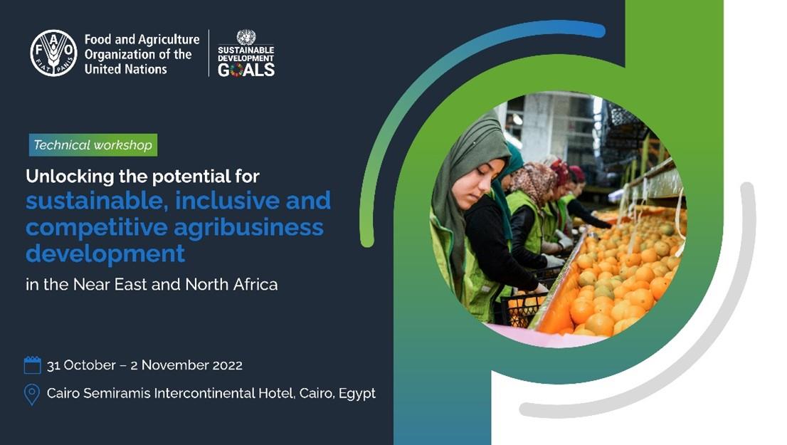 Unlocking the potential for sustainable, inclusive and competitive agribusiness development in the Near East and North Africa