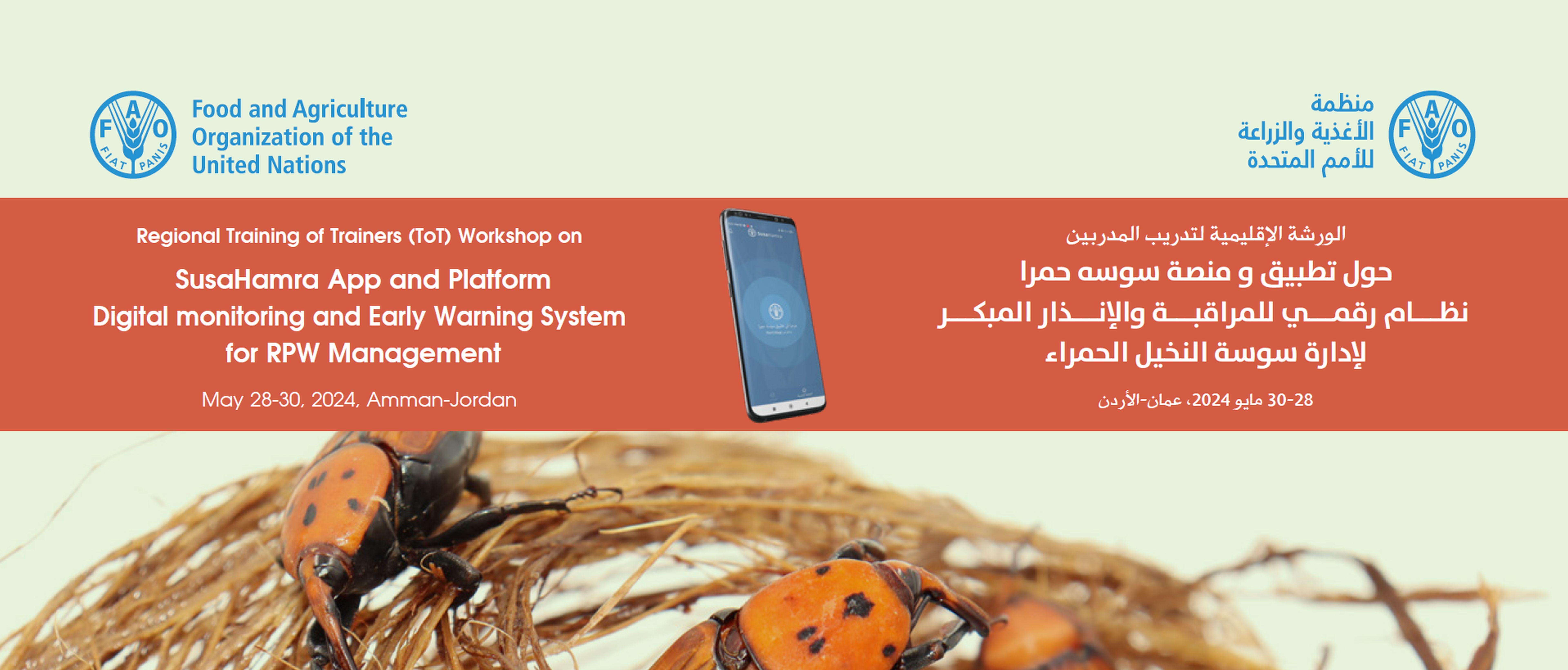 Regional Training of Trainers (ToT) Workshop on the Susa-Hamra App: a digital system for monitoring and early warning for Red Palm Weevil (RPW)