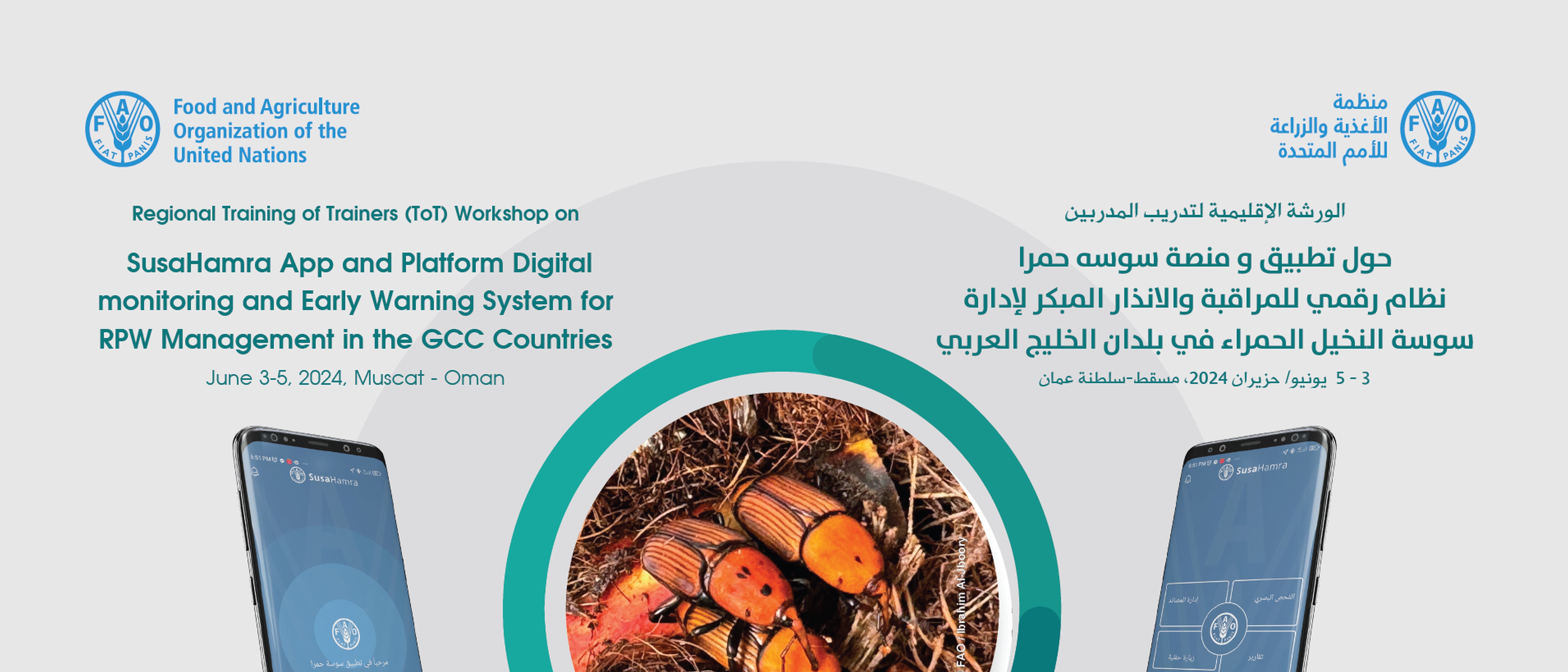 Regional Training of Trainers (ToT) Workshop on the Susa-Hamra App: a digital system for monitoring and early warning for Red Palm Weevil (RPW)
