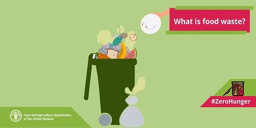 Launch of the Awareness Campaign against Food Waste - Egypt
