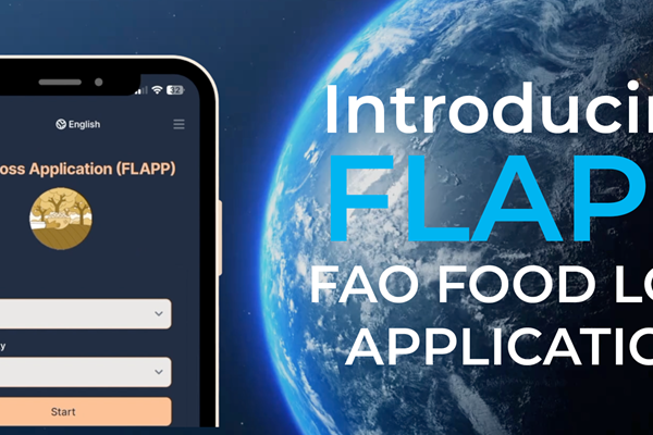 fao-flapp-219