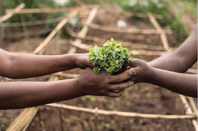 Regional Dialogues on the UNDFF