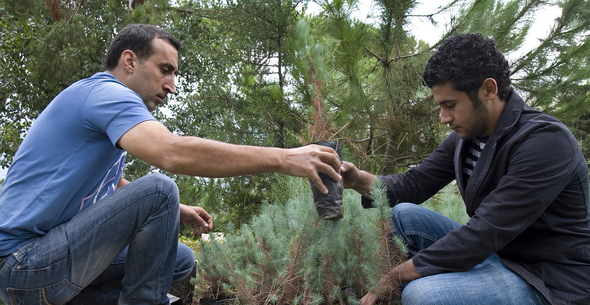 Workshop on Integrated Fire Management: Good Practices and Knowledge Sharing in the Near East and Mediterranean Countries
