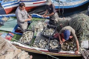 Webinar to raise awareness on basic measures to improve Safety at Sea in small-scale fisheries