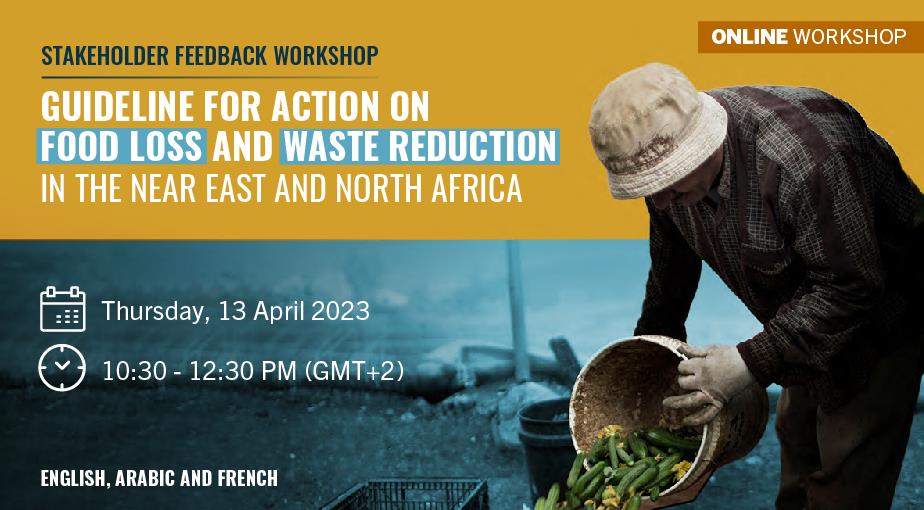 Stakeholder feedback workshop on “Guideline for action on food loss and waste reduction in the Near East and North Africa.