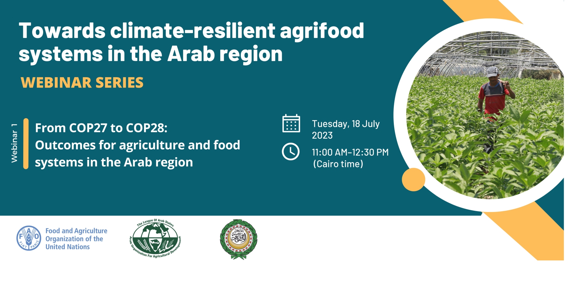 From COP27 to COP28: Outcomes for agriculture and food systems in the Arab Region