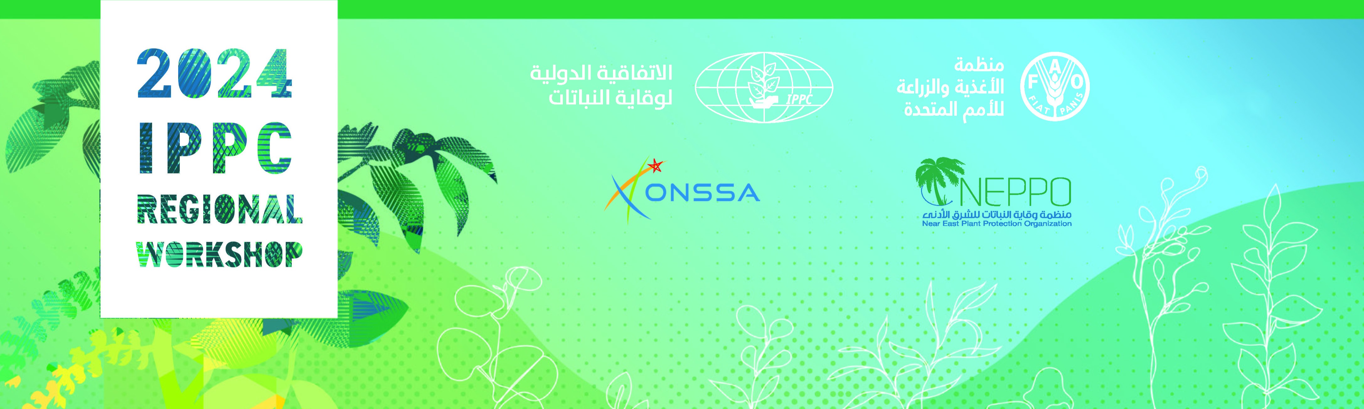 2024 IPPC REGIONAL WORKSHOP FOR THE NEAR EAST AND NORTH AFRICA (NENA) REGION