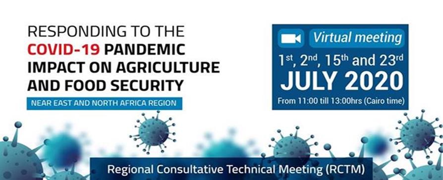 Virtual Regional Consultative Technical Meeting (RCTM)