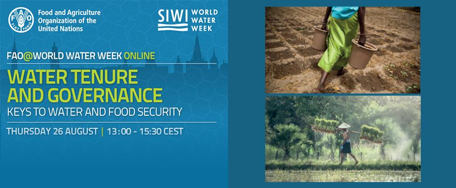 Water tenure and governance: Keys to water and food security