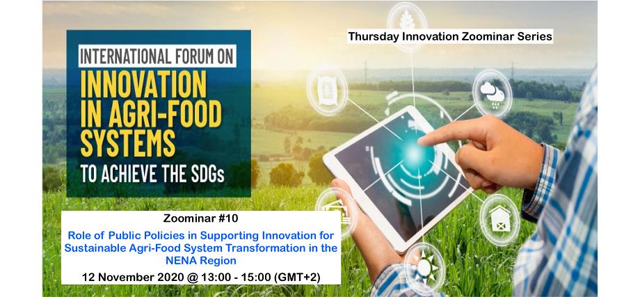 Role of Public Policies in Supporting Innovation for Sustainable Agri-Food System Transformation in the NENA Region
