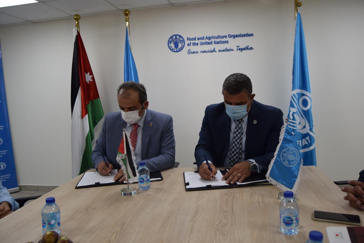 FAO and NARC sign a Letter of Agreement to support the digitalization process of agricultural services in Jordan