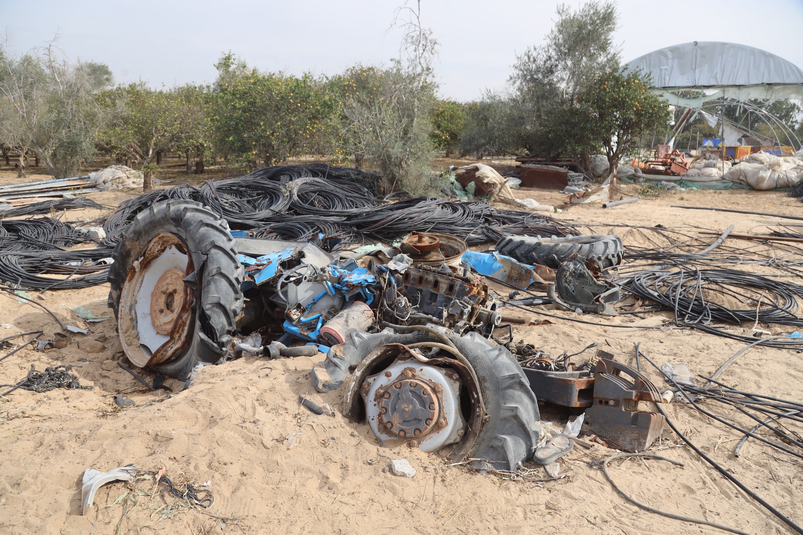 Gaza: Immediate action must combine emergency relief with the restoration of local food production