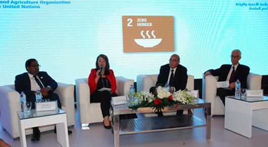 FAO celebrates its 40th anniversary with the Egyptian Government