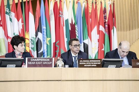 Near East and North Africa countries seek to draw a roadmap towards Zero Hunger
